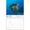 image Sea Turtles WWF 2025 Wall Calendar Second Alternate Image width=&quot;1000&quot; height=&quot;1000&quot;