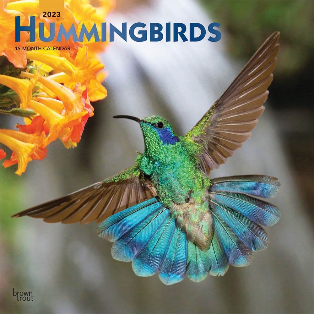 Hummingbirds 2023 Wall - Calendars.com