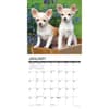 image Just Chihuahua Puppies 2025 Wall Calendar Second Alternate Image width=&quot;1000&quot; height=&quot;1000&quot;