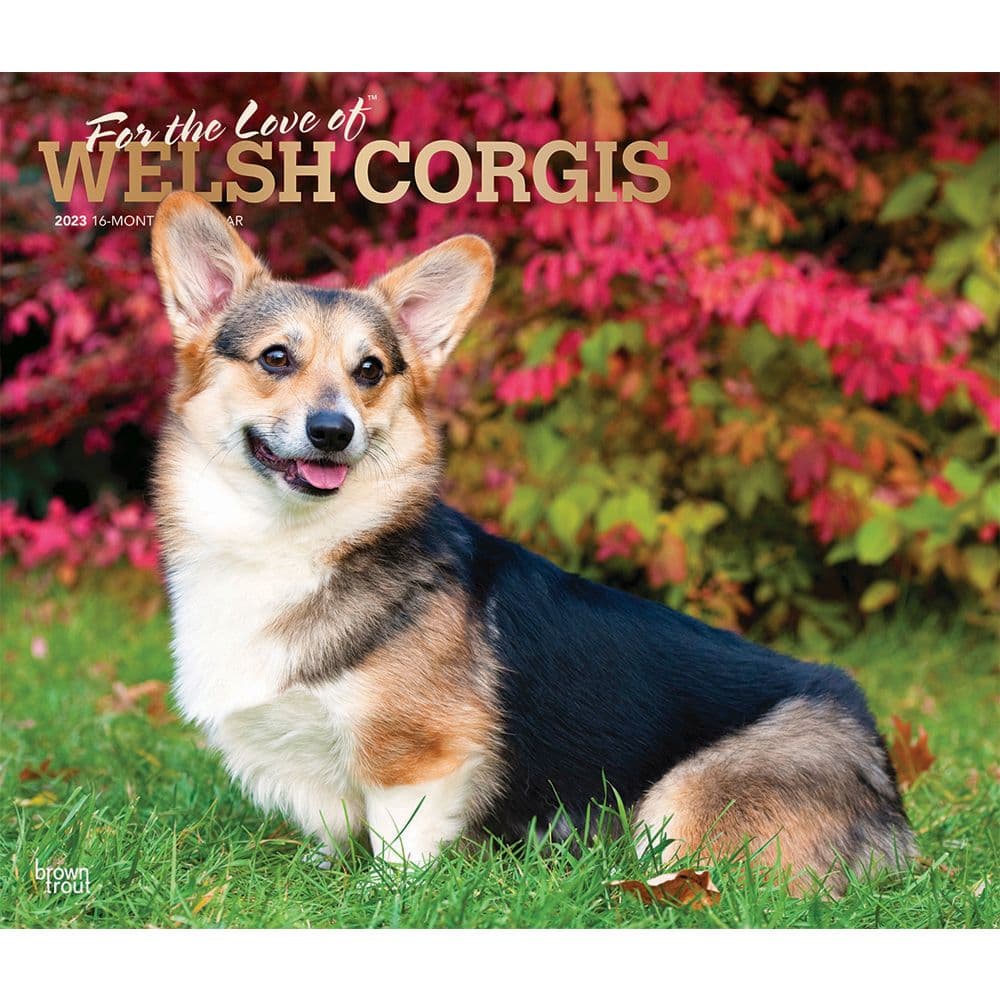 BrownTrout Welsh Corgis For the Love of 2023 Deluxe Wall Calendar