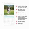 image Australian Shepherds 2025 Wall Calendar Fourth Alternate Image width=&quot;1000&quot; height=&quot;1000&quot;