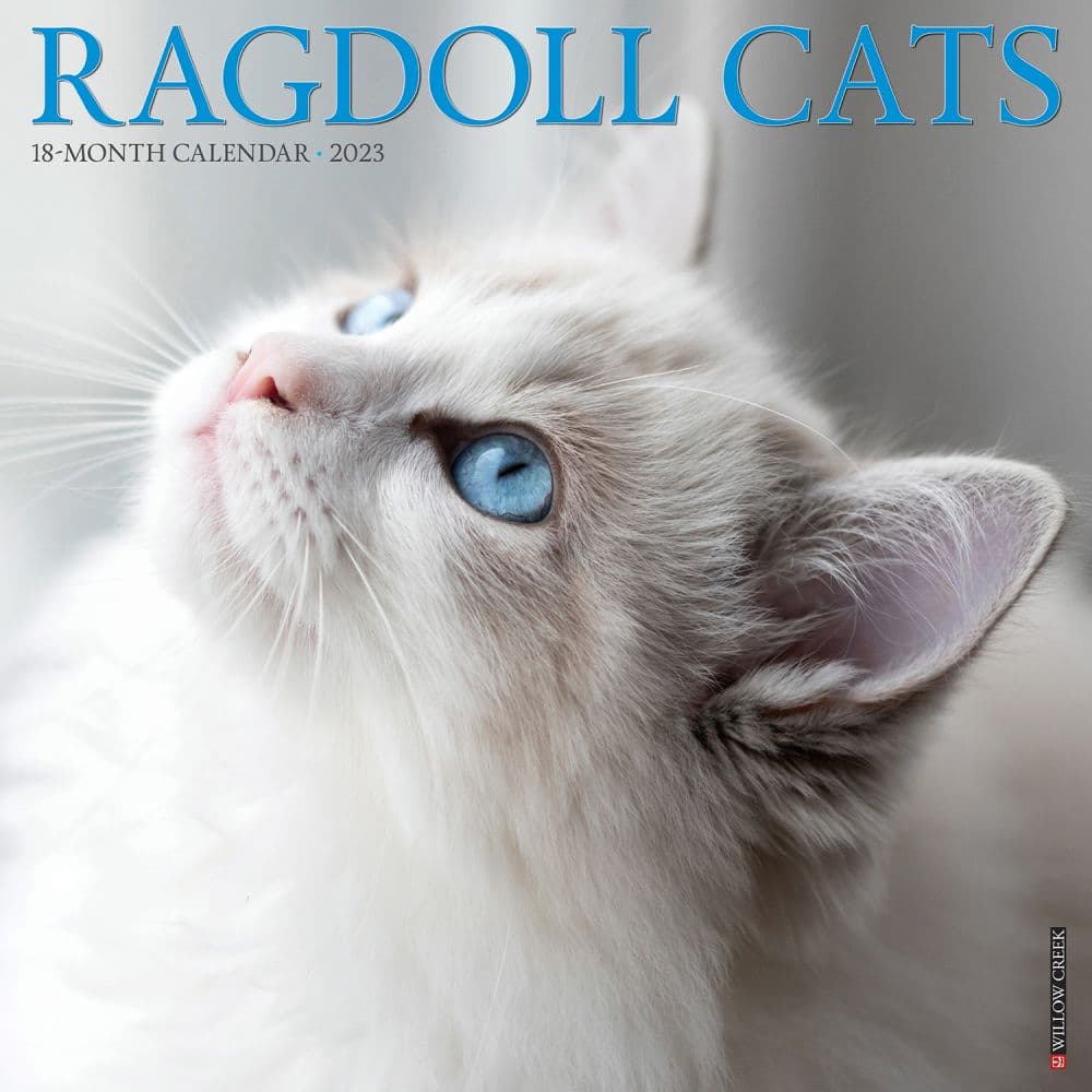 Cats Ragdoll 2023 Wall Calendar