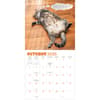 image Chonkers 2025 Wall Calendar First Alternate Image width="1000" height="1000"