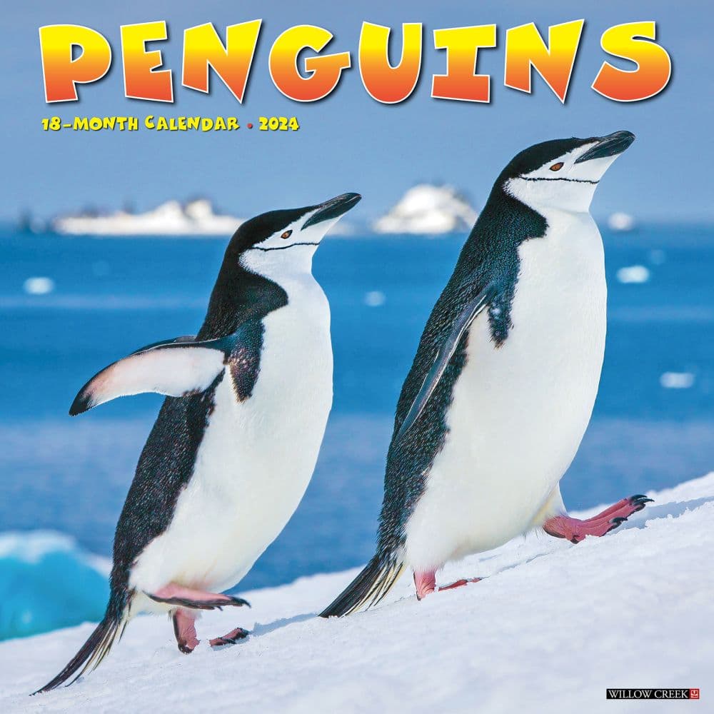 how tall are penguins        <h3 class=