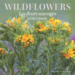 Wildflowers 2025 Wall Calendar