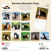 image Bernese Mountain Dogs 2027 Wall Calendar First Alternate Image