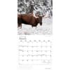 image Cabin Country 2026 Wall Calendar Second Alternate Image
