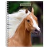 image Horses 2025 Engagement Planner Main Image