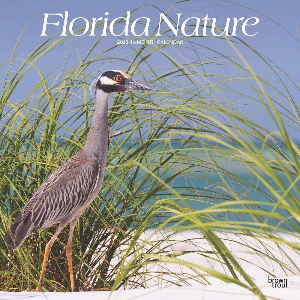 Florida Nature 2025 Wall Calendar Main Image