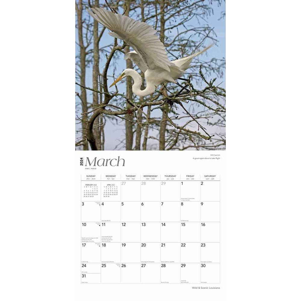 Louisiana Wild and Scenic 2024 Wall Calendar