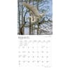 image Louisiana Wild and Scenic 2024 Wall Calendar Second Alternate Image width=&quot;1000&quot; height=&quot;1000&quot;
