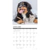 image Kittens and Puppies 2026 Wall Calendar Second Alternate Image