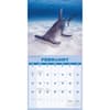 image Shark Year 2026 Wall Calendar Second Alternate Image