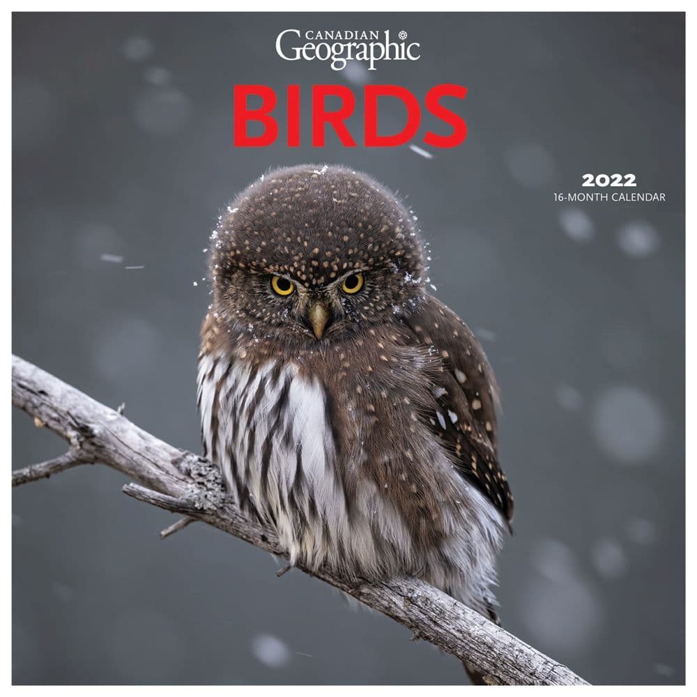 Birds 2022 Wall Calendar