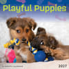 image Playful Puppies 2027 Mini Wall Calenda Main Product Image