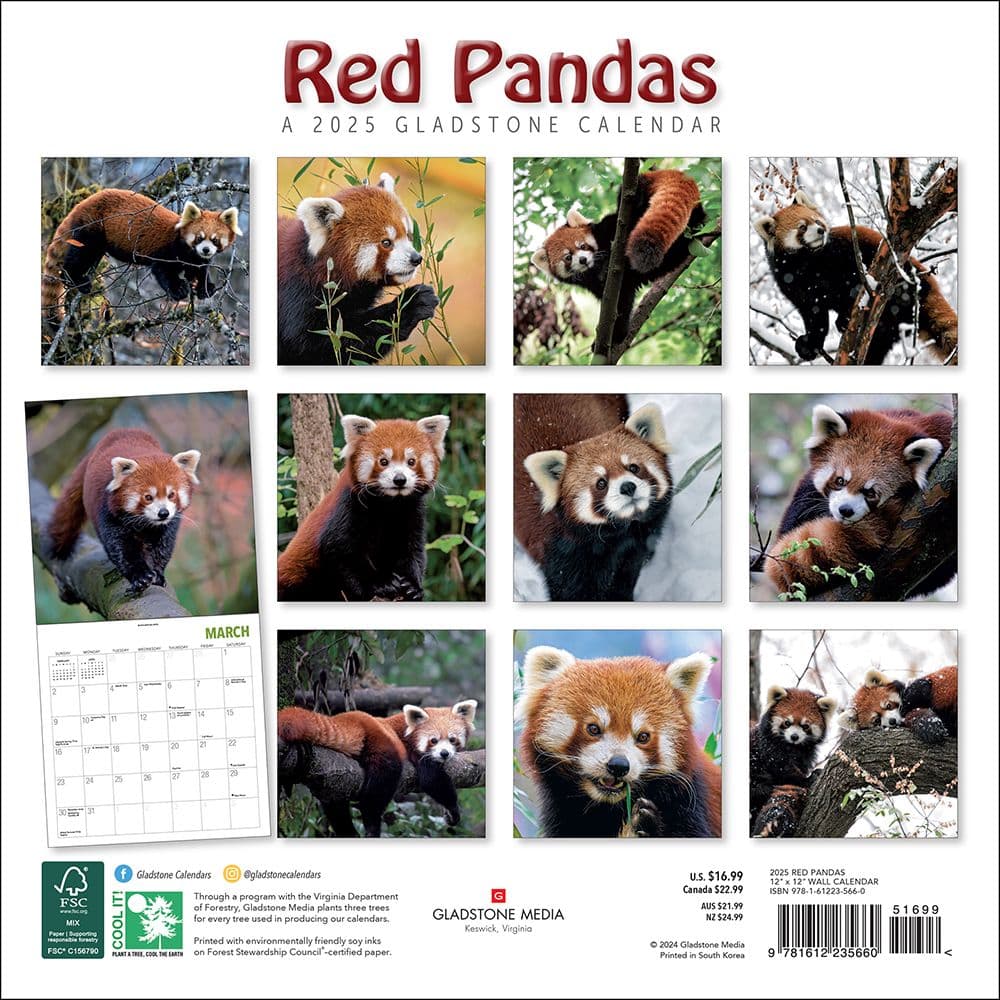 Red Pandas 2025 Wall Calendar