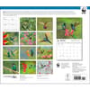 image Hummingbirds WWF 2025 Wall Calendar First Alternate Image width="1000" height="1000"