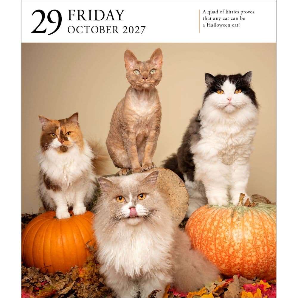 Cat Page-A-Day Gallery 2027 Desk Calendar Fourth Alternate Image