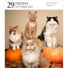 image Cat Page-A-Day Gallery 2027 Desk Calendar Fourth Alternate Image