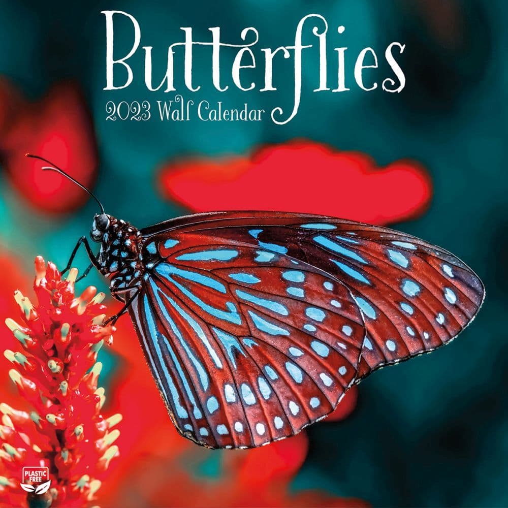 2022-2023-calendar-butterflies-wall-calendar-retro-calendar-2022
