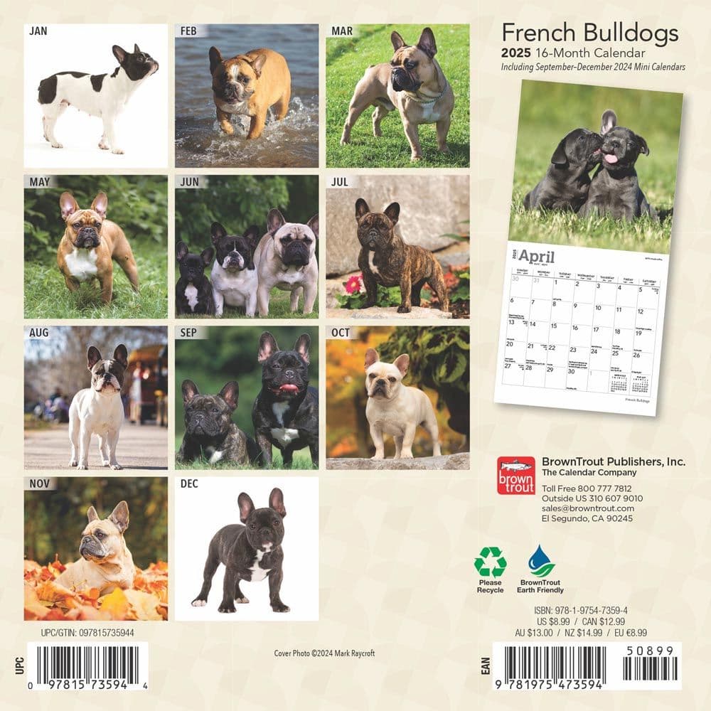 French Bulldogs 2025 Mini Wall Calendar