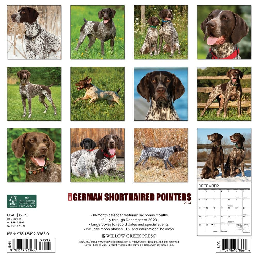 Just German Shorthair Pointers 2024 Wall Calendar