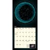 image Year in the Night Sky 2025 Wall Calendar