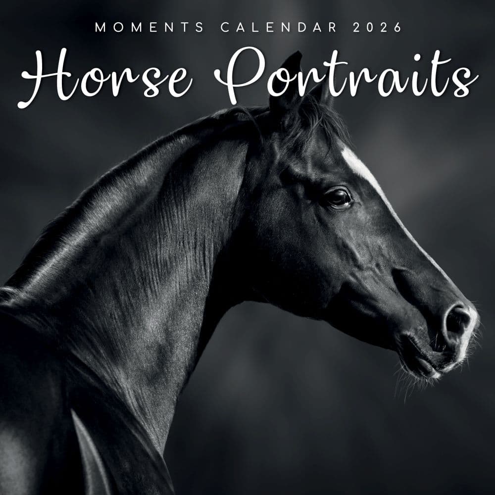 Horse Portraits 2026 Wall Calendar  Main Image