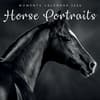 image Horse Portraits 2026 Wall Calendar  Main Image