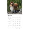 image Collies 2024 Wall Calendar Second Alternate Image width=&quot;1000&quot; height=&quot;1000&quot;