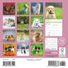 image Puppies 2025 Mini Wall Calendar First Alternate Image width=&quot;1000&quot; height=&quot;1000&quot;