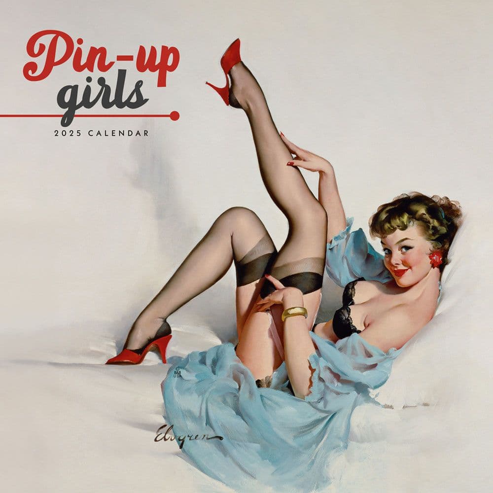 Pin Ups 2025 Wall Calendar Main Image