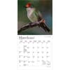 image Hummingbirds Plato 2027 Mini Wall Calendar Second Alternate Image