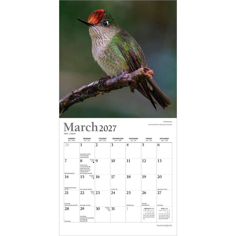 Hummingbirds Plato 2027 Mini Wall Calendar Second Alternate Image