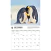 image Penguins WWF 2026 Wall Calendar Fourth Alternate Image