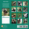 image Baby Pandas 2025 Wall Calendar First Alternate Image width="1000" height="1000"