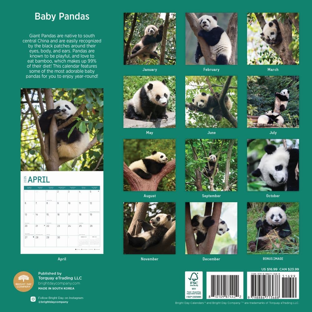 Baby Pandas 2025 Wall Calendar First Alternate Image width="1000" height="1000"