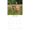 image Country Wildlife 2025 Wall Calendar