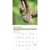 image Sloths 2026 Mini Wall Calendar Fourth Alternate Image