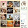 image Cool Cats 2025 Wall Calendar First Alternate Image width="1000" height="1000"