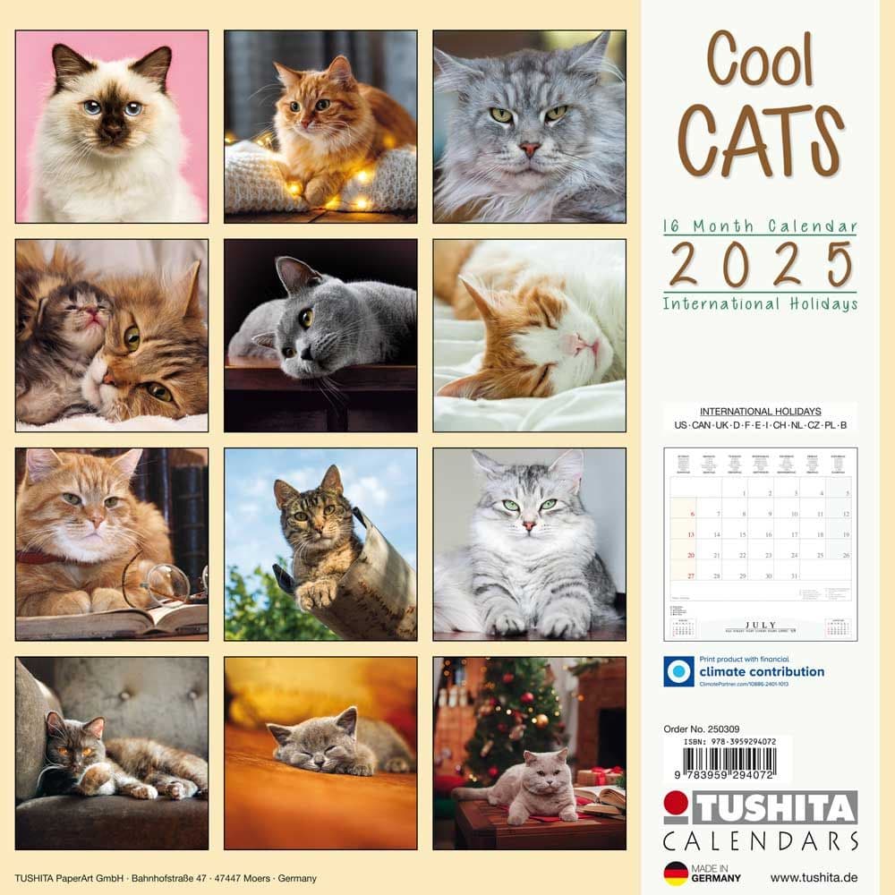 Cool Cats 2025 Wall Calendar First Alternate Image width="1000" height="1000"