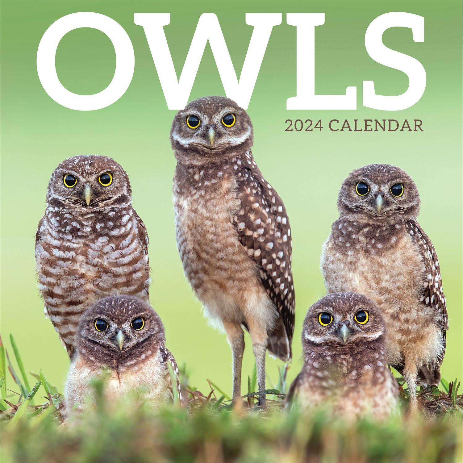 Owls 2024 Wall Calendar Calendars Com   96aa9b53 6d8e 4f53 B1b5 Bb5b693ad8cd