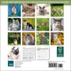 image Cats 2025 Mini Wall Calendar First Alternate Image width="1000" height="1000"