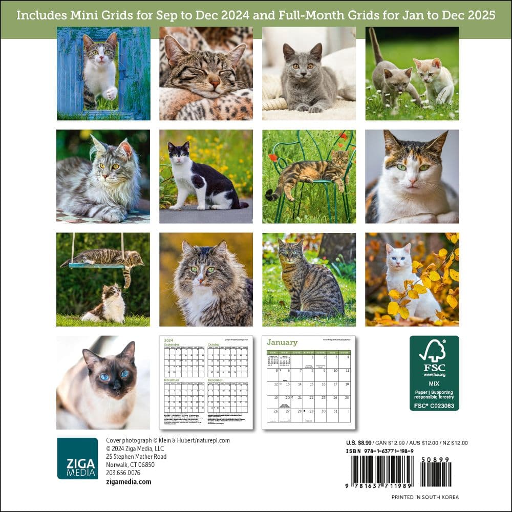 Cats 2025 Mini Wall Calendar First Alternate Image width="1000" height="1000"