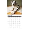 image Great Dane Puppies 2025 Wall Calendar Second Alternate Image width=&quot;1000&quot; height=&quot;1000&quot;