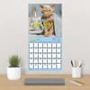 image Snarcatstic 2025 Wall Calendar