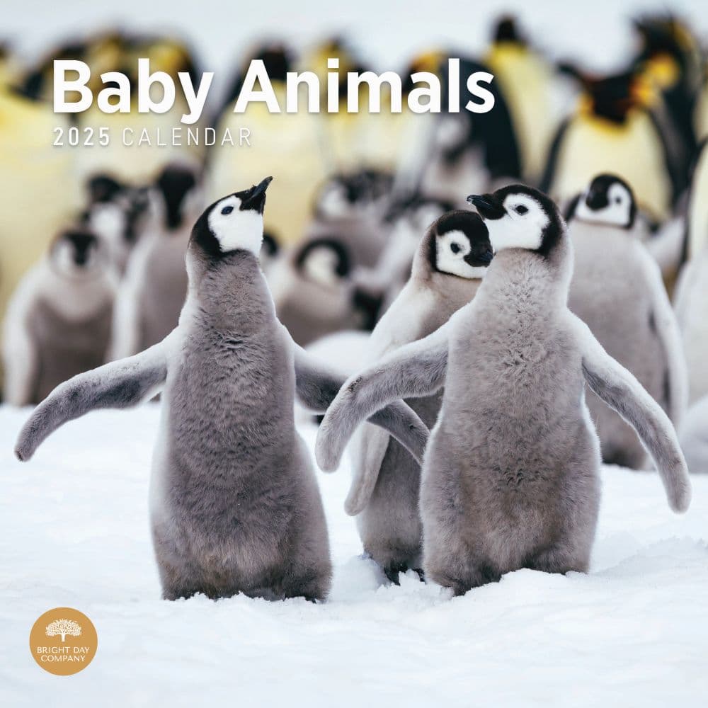 Baby Animals 2025 Wall Calendar  Main Image