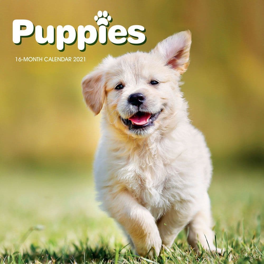 Puppies Mini Wall Calendar