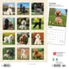 image Poodles 2024 Wall Calendar First Alternate Image width=&quot;1000&quot; height=&quot;1000&quot;