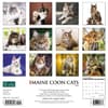 image Just Maine Coon Cats 2024 Wall Calendar Alternate Image 1